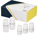 AbraMag® Genomic DNA Purification Kit