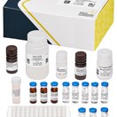 ABRAXIS®  Cylindrospermopsin, ELISA, 96-test