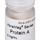 AbraMag® Protein A Magnetic Beads, 1 mL sample size, 5 mg/mL