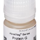 AbraMag® Protein G Magnetic Beads, 1 mL sample size, 5 mg/mL