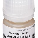 AbraMag® anti-Rabbit Magnetic Beads, 1mL, 5 mg/mL